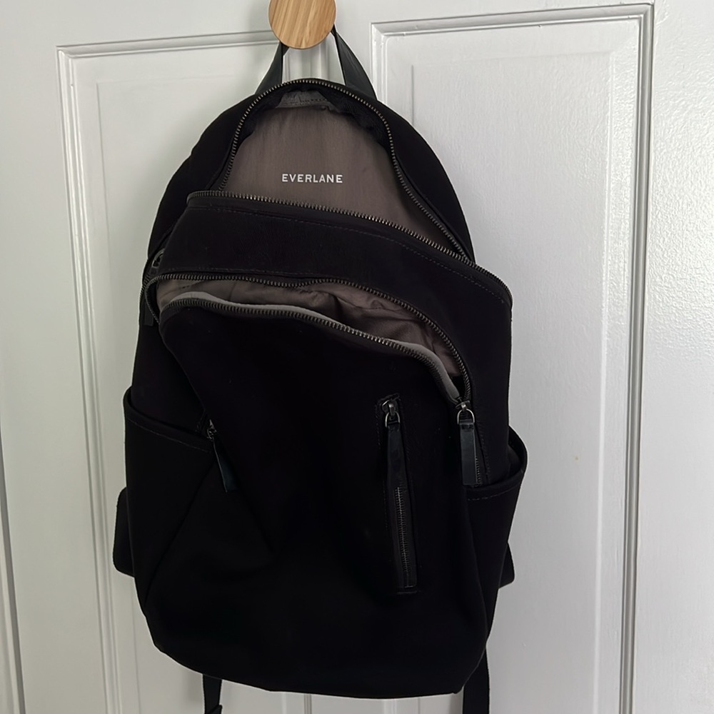 Everlane black Canvas Backpack